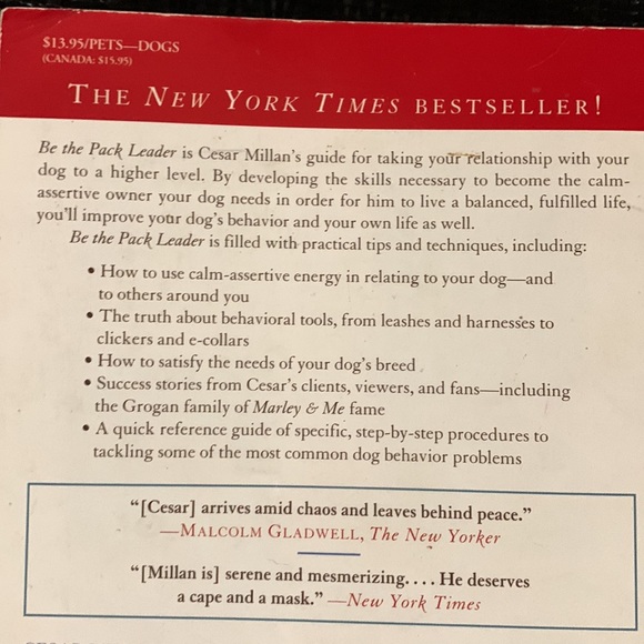 🧚🏿♂️3/$12🧚🏿♂️ Be the Pack Leader - Picture 2 of 4